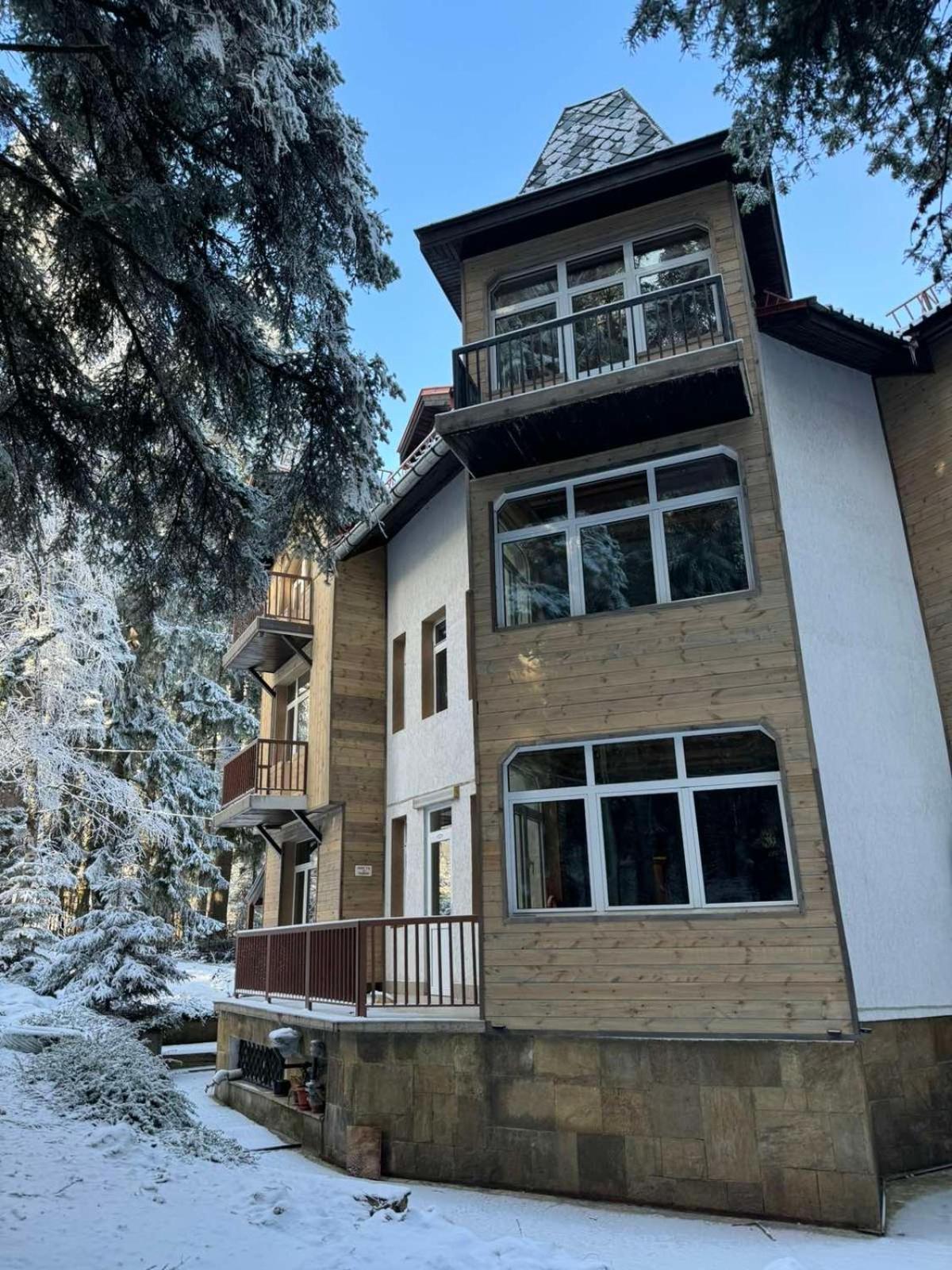 The Forest Villa Borovets Extérieur photo